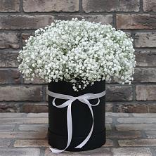 Цветочная композиция из Гипсофила в шляпной коробке в Севастополе